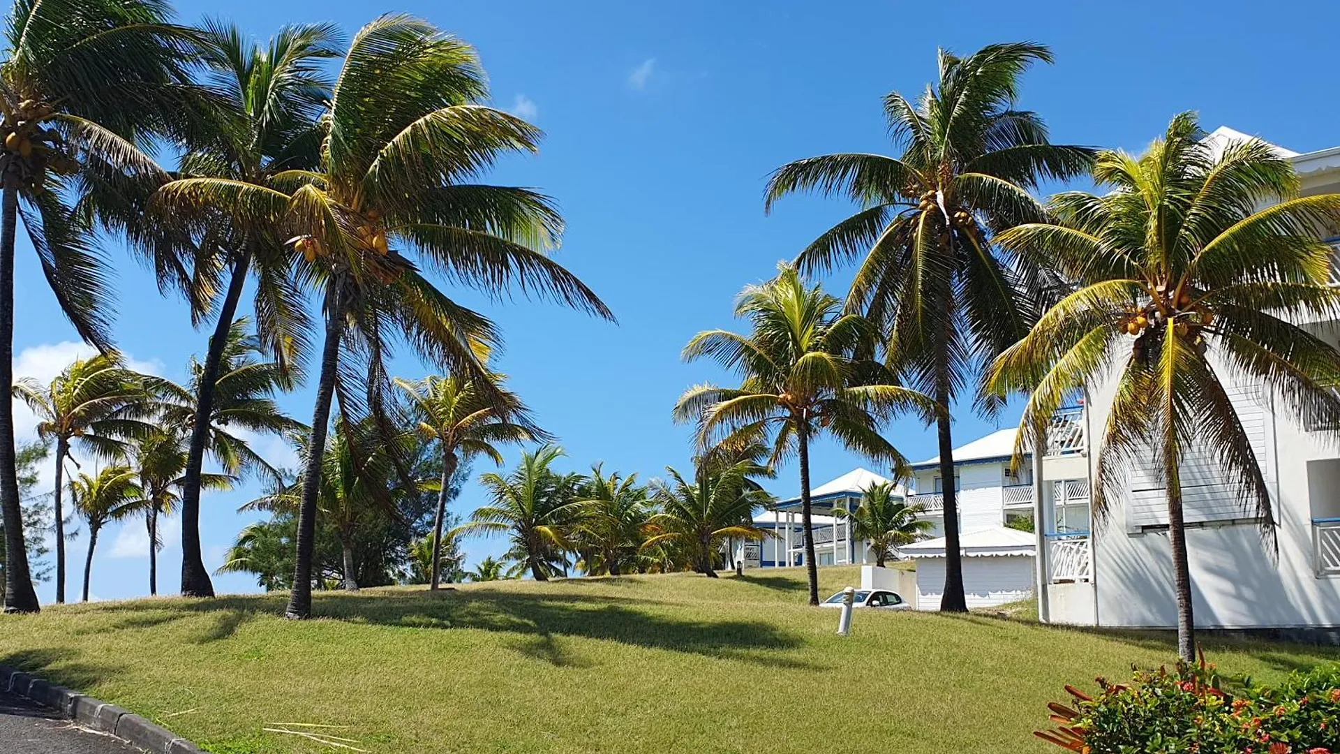 Studio Paradis 3* Apartman Saint-Francois  Guadeloupe